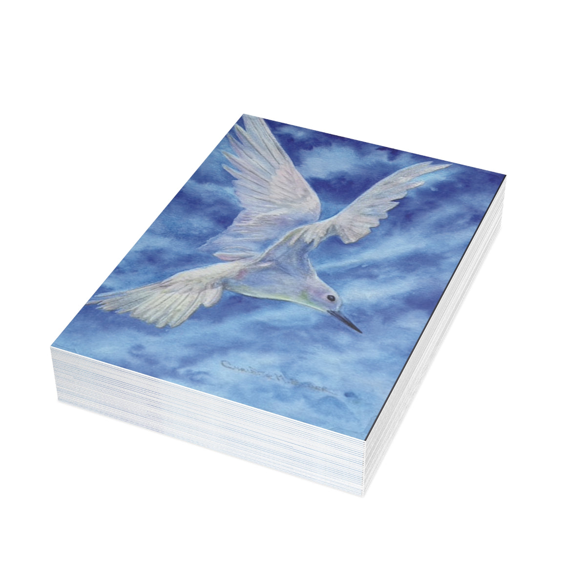 Manu o Kū — Hawaiian Sea Bird Fine Art Greeting Cards