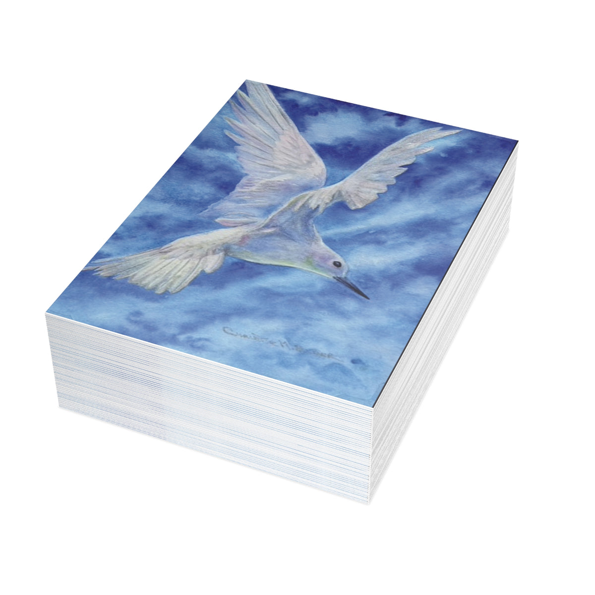 Manu o Kū — Hawaiian Sea Bird Fine Art Greeting Cards