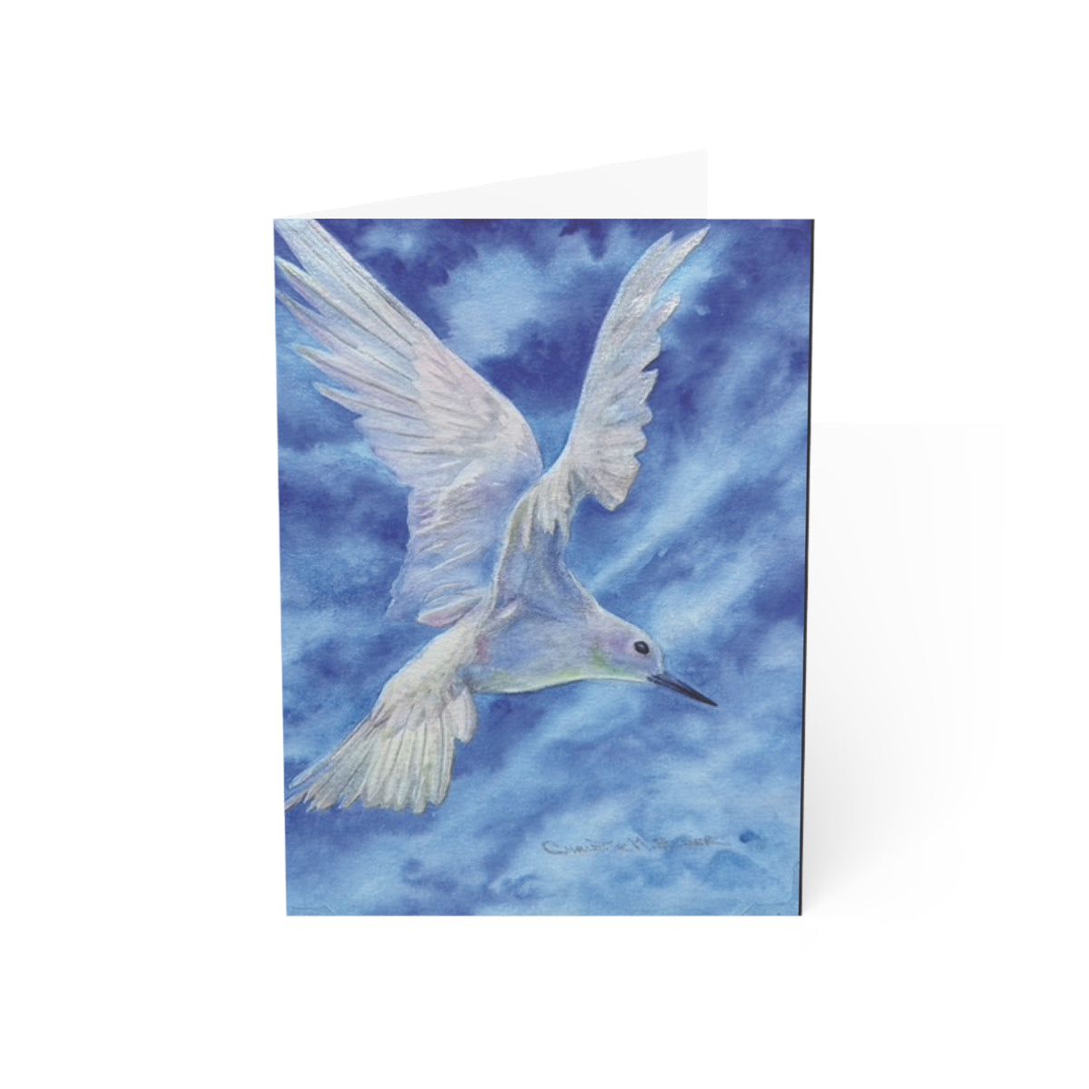 Manu o Kū — Hawaiian Sea Bird Fine Art Greeting Cards