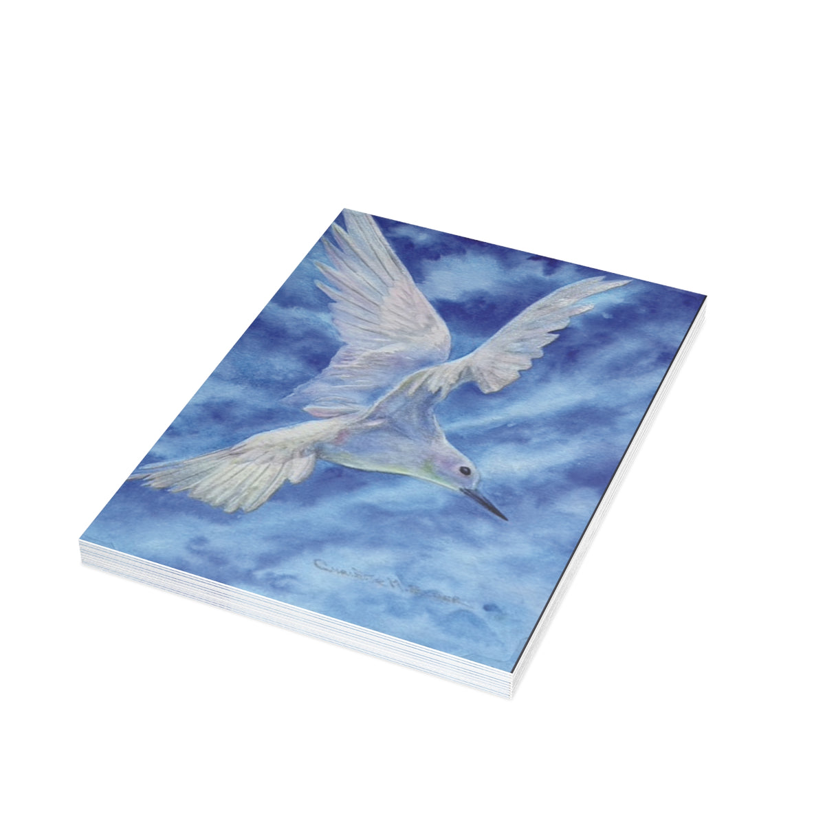 Manu o Kū — Hawaiian Sea Bird Fine Art Greeting Cards