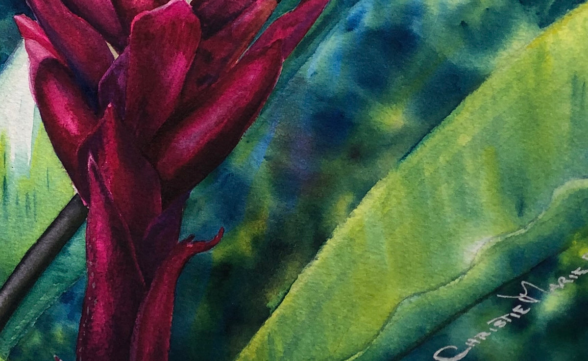 Tropical Flame – Fine Art Prints – by Artist Christie Marie Elder