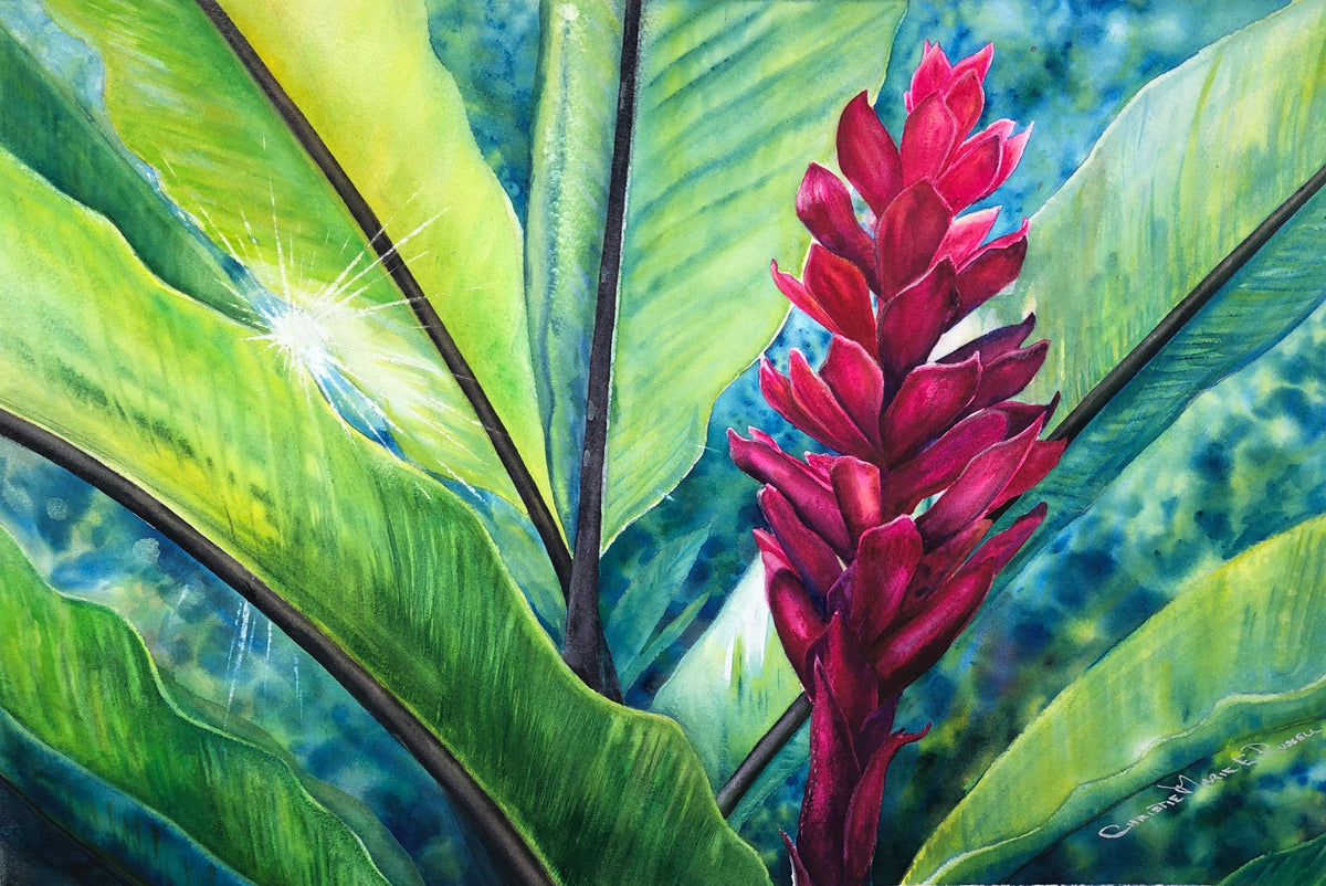 Tropical Flame – Fine Art Prints – by Artist Christie Marie Elder