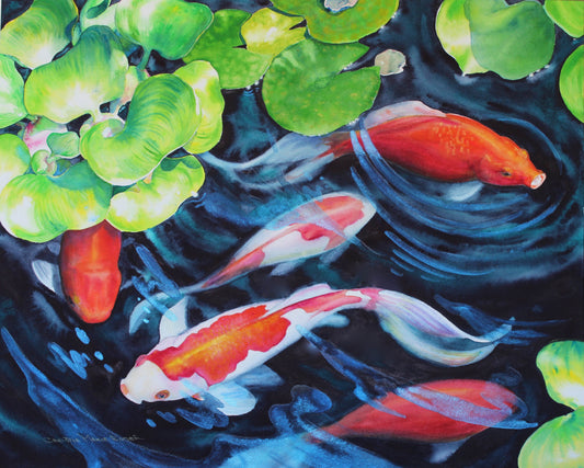 Coy Koi – Fine Art Prints – by Artist Christie Marie Elder